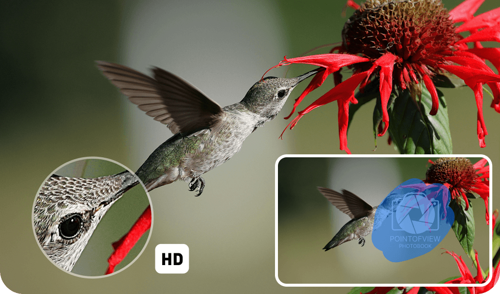 完美还原原始细节