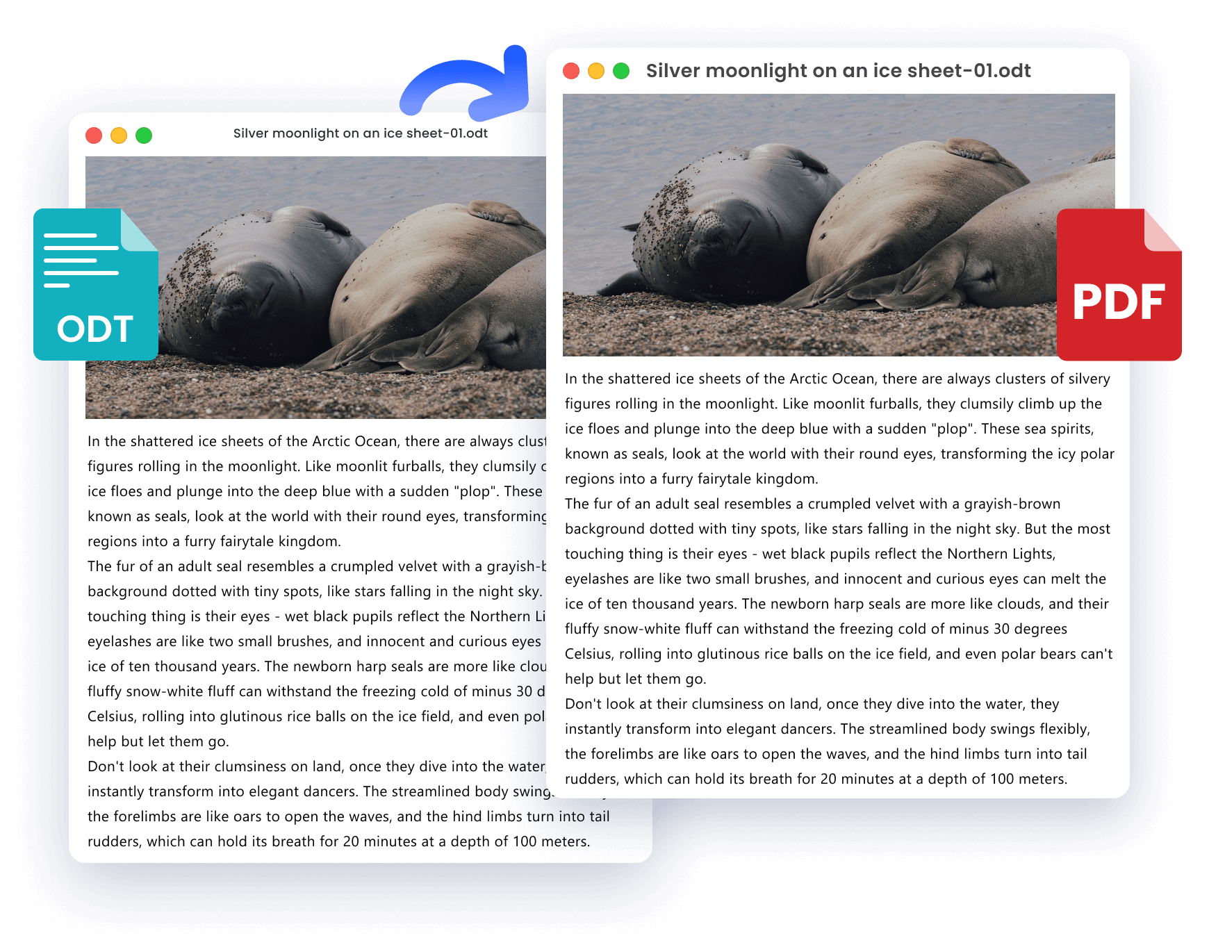 ODT格式转换常见问题分析