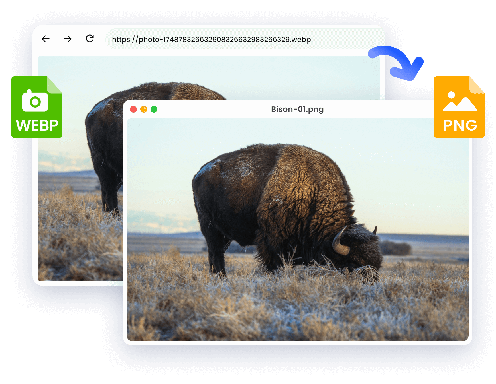 WebP 转 PNG 有哪些难点