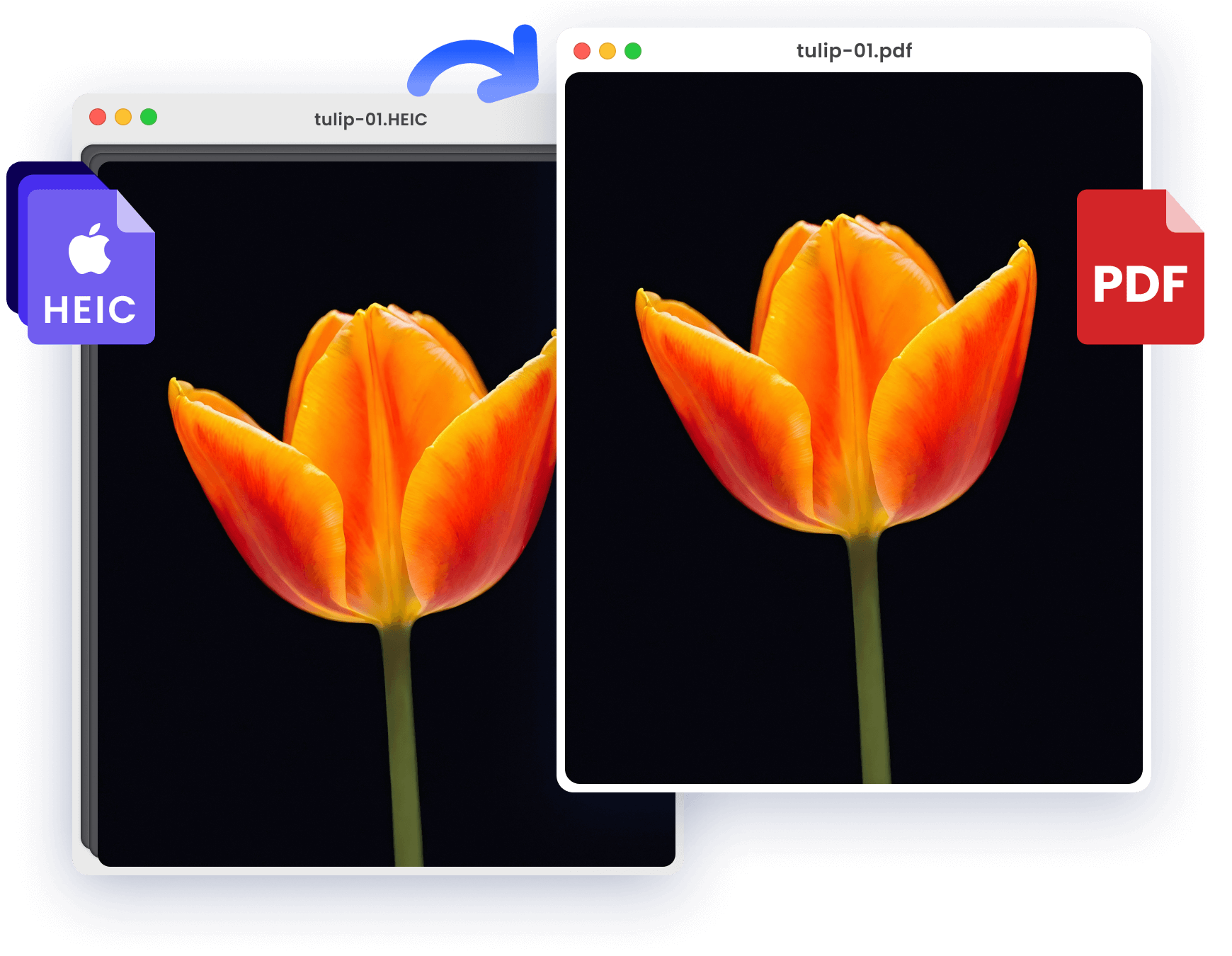 为什么要将 HEIC 转换为 PDF