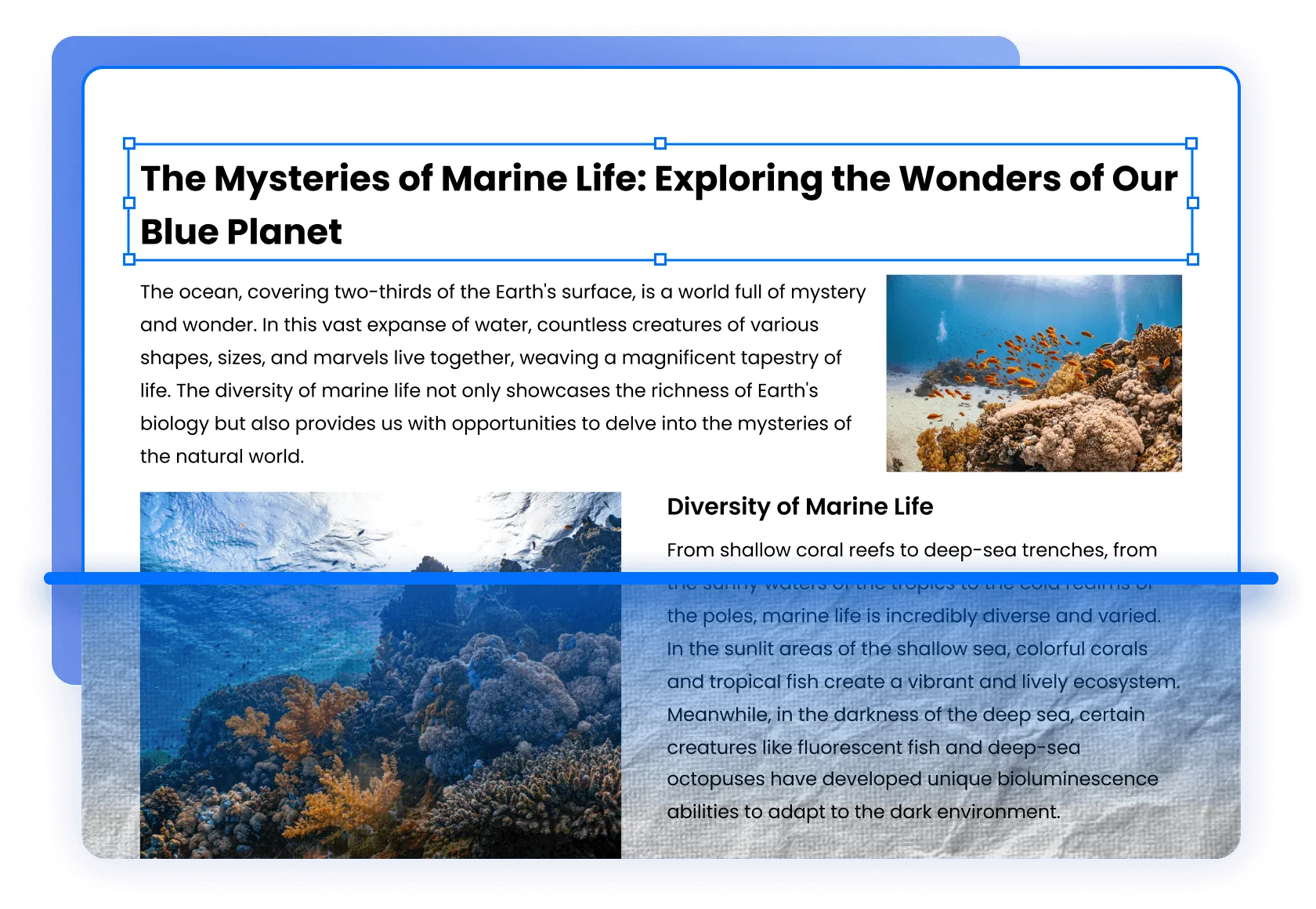 光学字符识别(OCR)