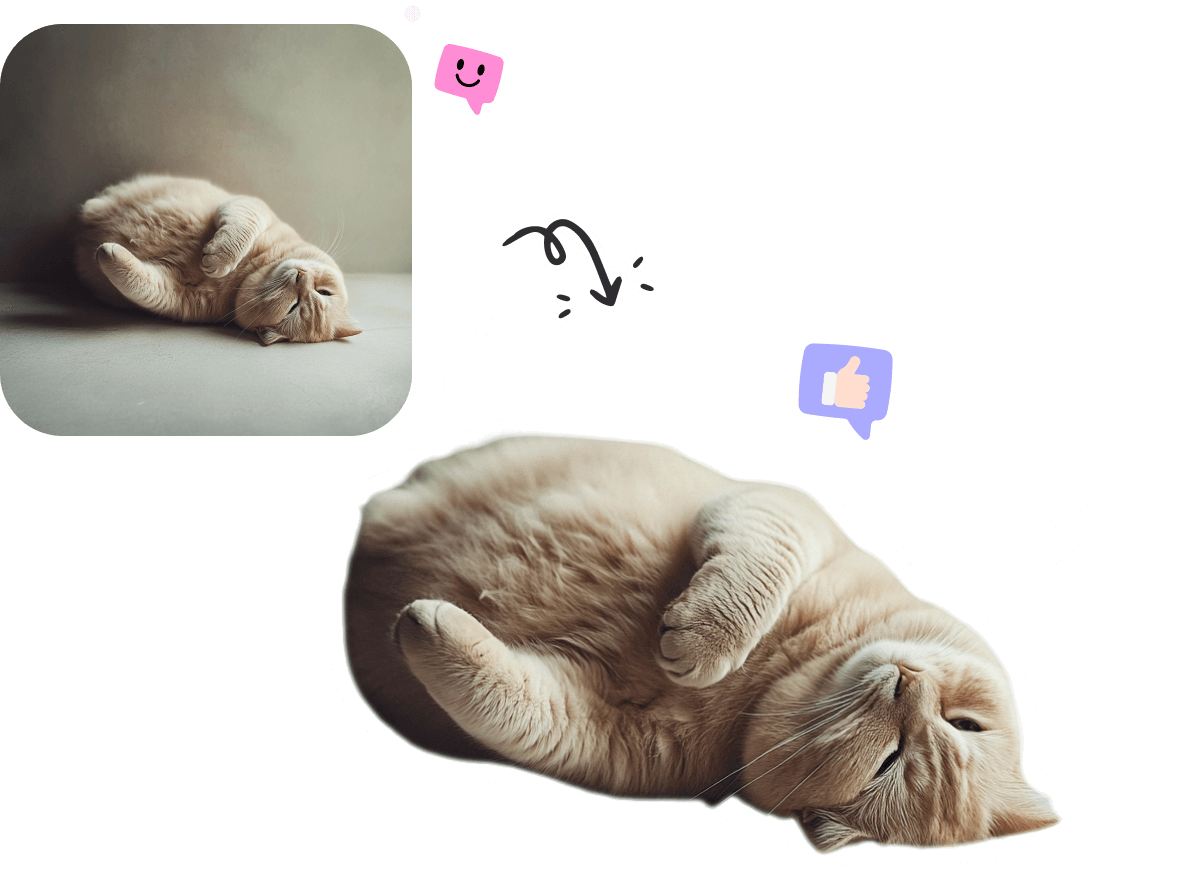 表情包贴纸制作工具  