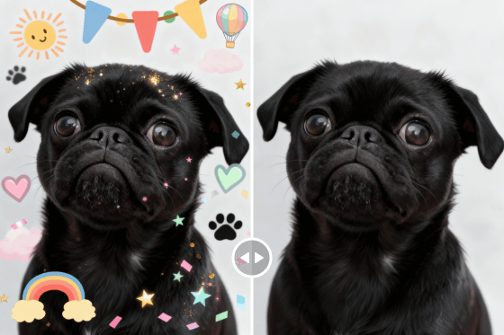 移除宠物照片贴纸