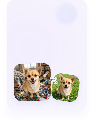 宠物照片抠图并更换背景