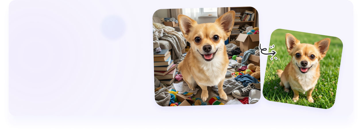 宠物照片抠图并更换背景