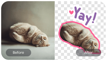 贴纸制作效果展示