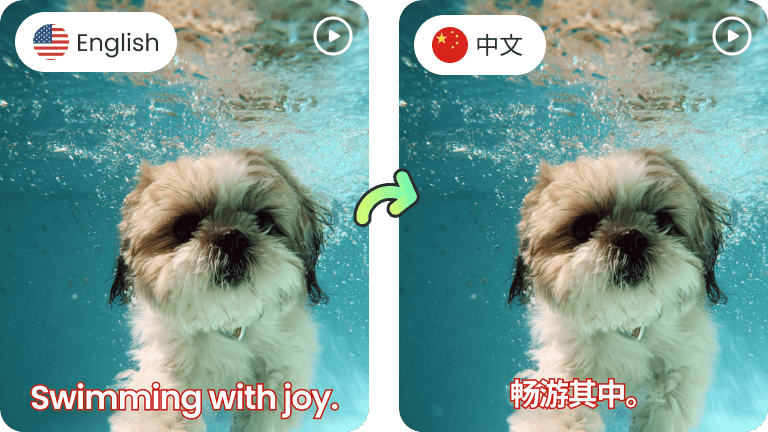 免费将视频翻译成中文工具| 录咖